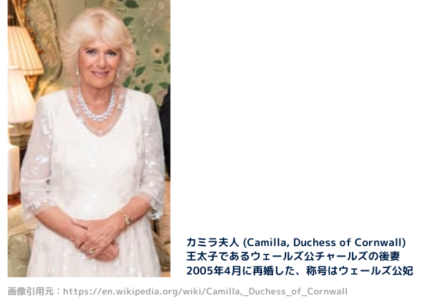 なぜ カミラ 夫人 カミラ夫人について知っておきたい10の雑学【英王室は面白い！】