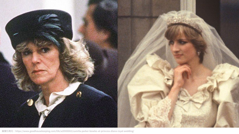 camilla princess diana